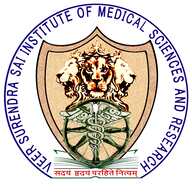 Institutional LOGO Color (1)_.jpg